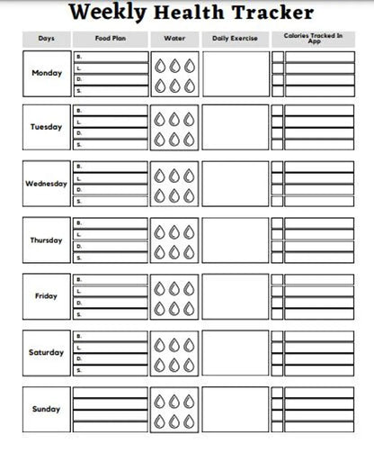 Ultimate Meal & Pantry Planner Bundle, Freezer Inventory, Pantry Challenge, Weekly Health Tracker and More, Printable PDF - Savvy Spot Online